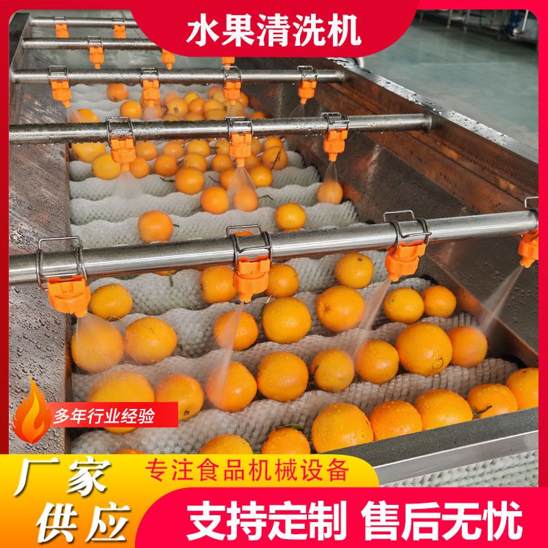 工业用桃子毛刷清洗机青梅清洗风干设备连续式车厘子清洗风干线