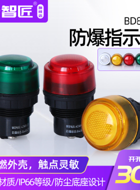 BD8030防爆防腐电源指示灯信号灯开孔30MM IP65防爆箱指示灯220V