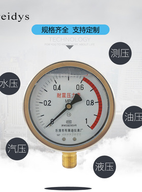 压力表YN100正装不锈钢耐震压力表测水压气压通用0-1.6/100mpa