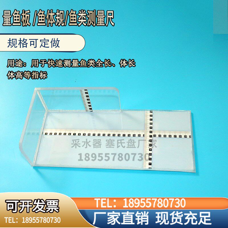 量鱼板鱼类测量专业工具鱼体规测量鱼类长宽鱼类测量尺含税包邮