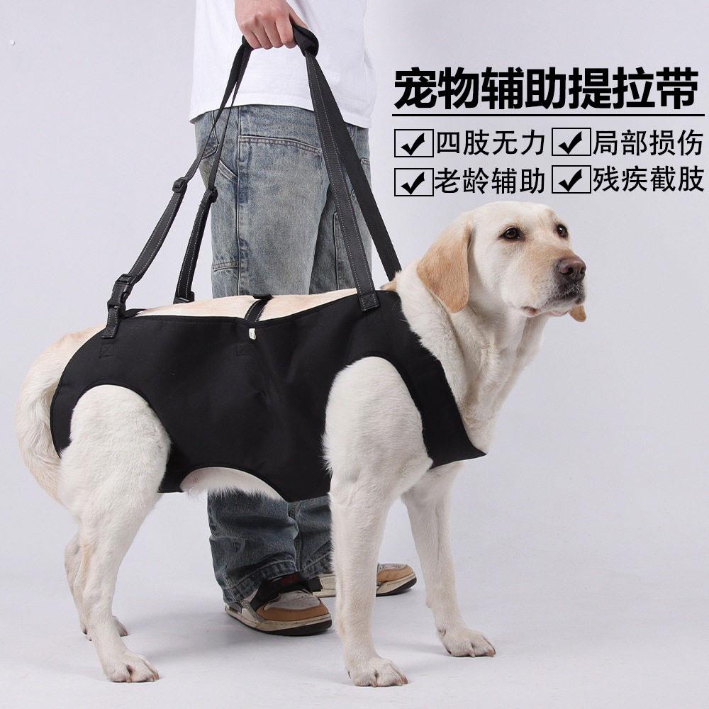狗狗四肢辅助带老年犬后腿无力行走上楼梯神器康复提拉带宠物用品