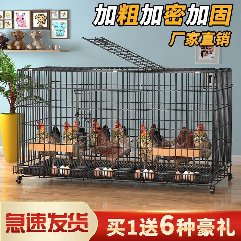 鸡笼子家用下蛋养鸡笼自动清粪滚蛋大号特大号鸡窝鸡舍折叠养殖笼
