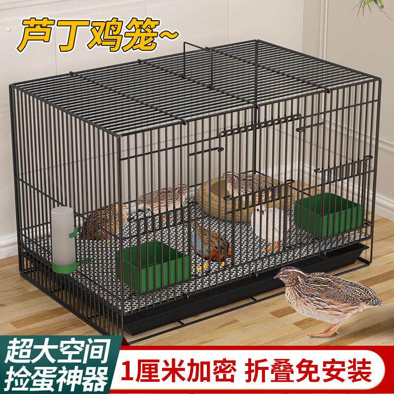芦丁鸡专用养殖笼子家用加密大号芦丁鸡铁丝笼小鸡小鸭子鹌鹑鸟笼