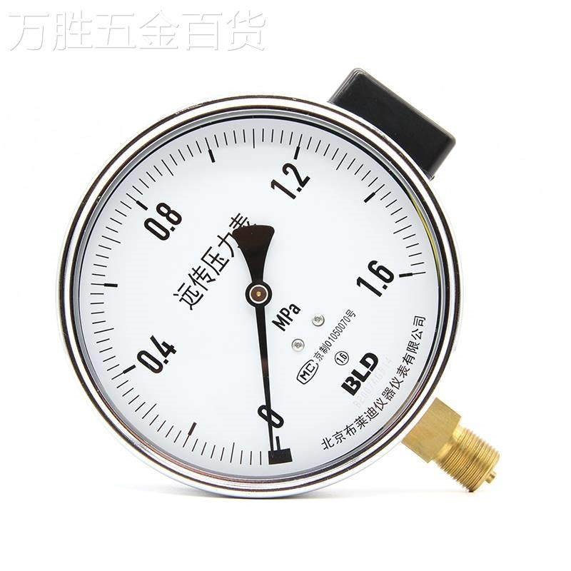 包邮YTZ15自0变器专用北京布莱迪远仪SMR传压力表频北京动化表三 - 实物图