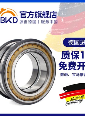 /德国BKD进口双列满装圆柱滚子轴承SL04 5004/5/6/7/8/9/10/11X