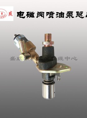 单缸风冷柴油机 凯马小型186F 186FA电磁阀喷油泵总成 微型发动机