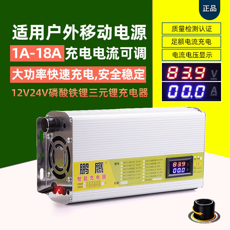 12V24V伏磷酸铁锂电池充电器12.6V14.6V29.2V10A15A18a户外电源用