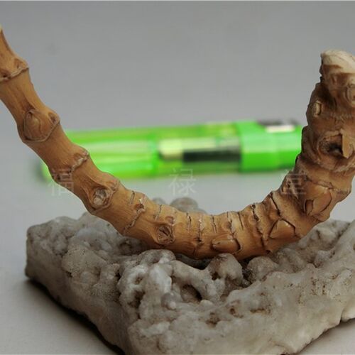 竹根手把件节密象形老竹子文玩掌中竹宝精品竹节竹雕竹编竹鞭圈56