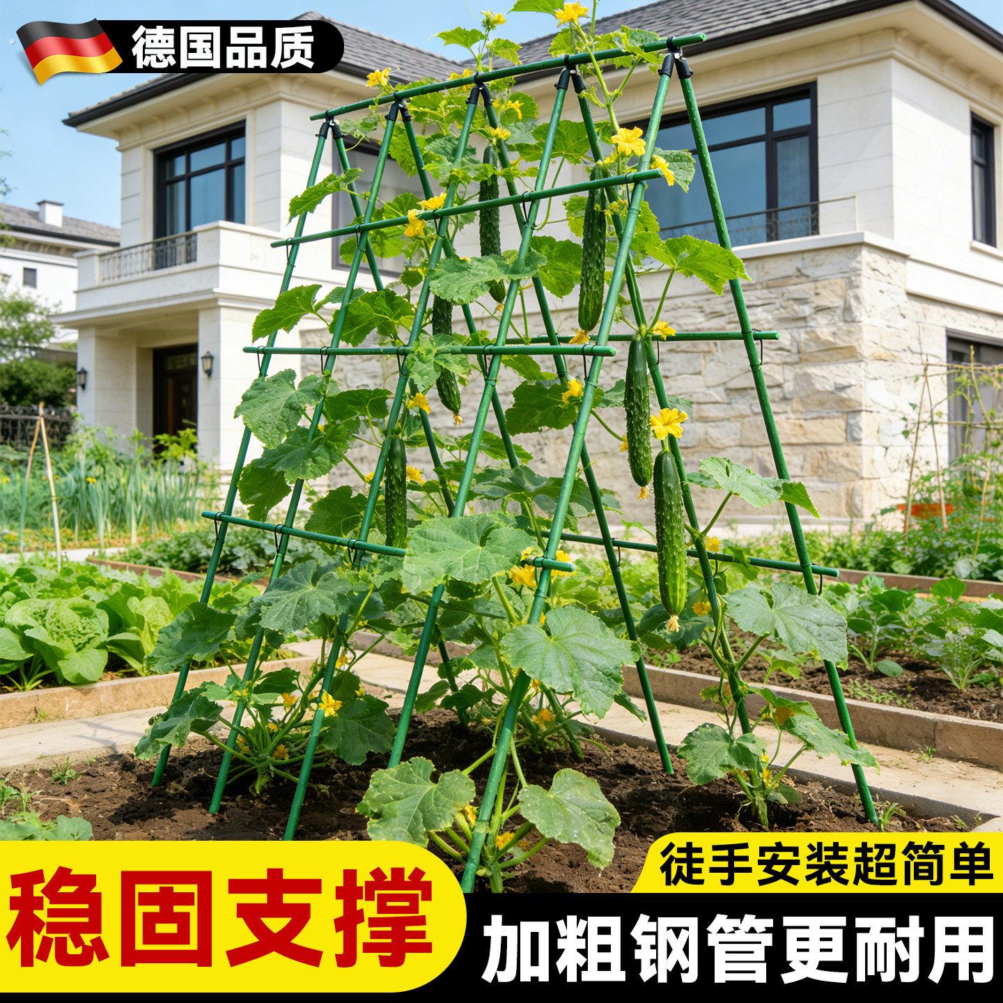 黄瓜爬藤架子豆角架杆楼顶种菜架子丝瓜蔬菜攀爬支撑杆搭棚子支架