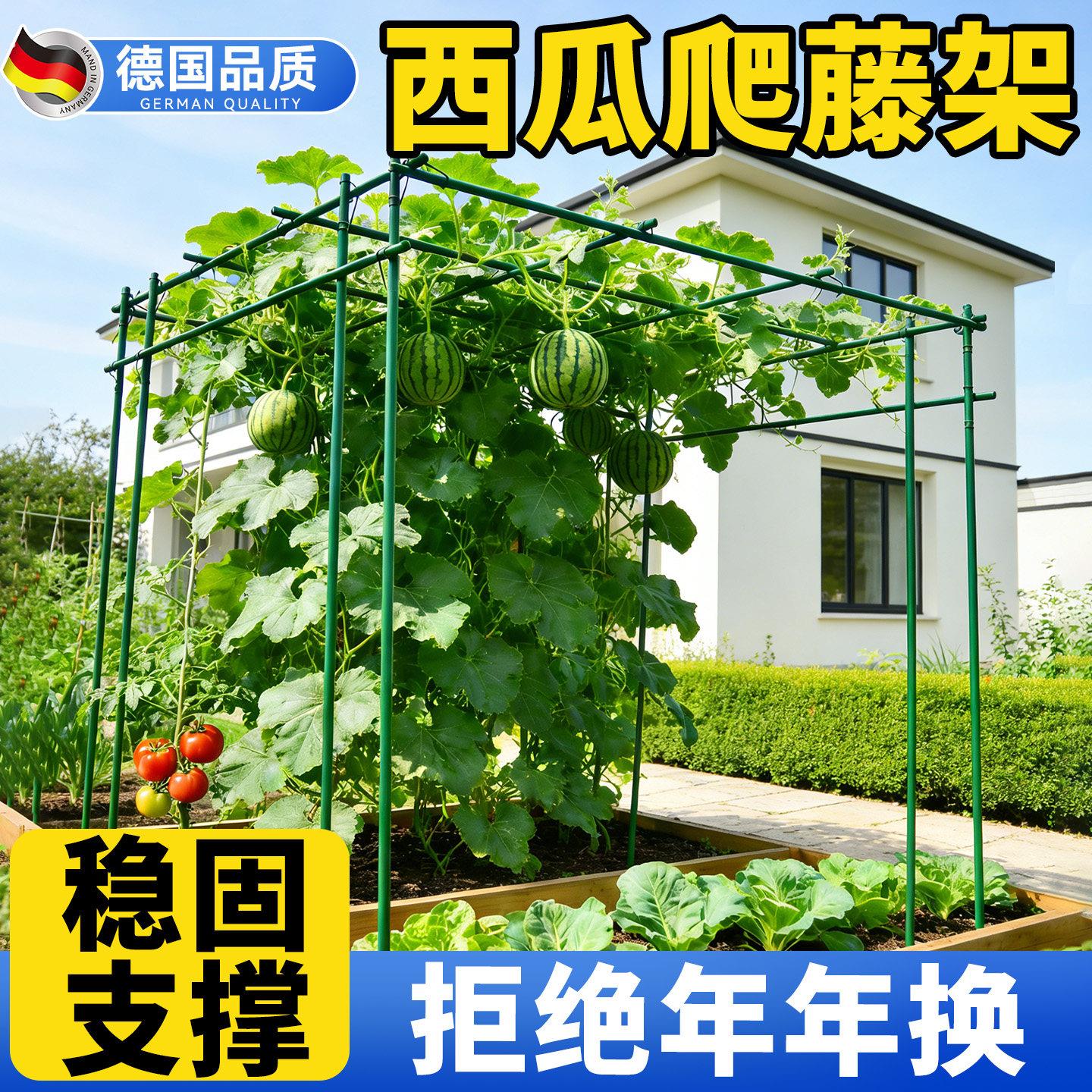西瓜爬藤架葡萄架子庭院户外黄瓜架杆丝瓜百香果攀爬架搭棚子支架