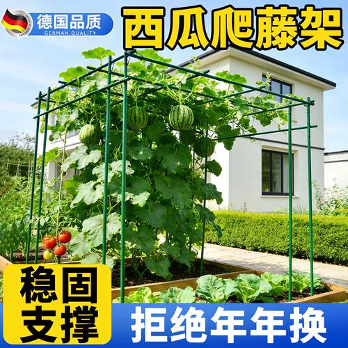 西瓜爬藤架葡萄架子庭院户外黄瓜架杆丝瓜百香果攀爬架搭棚子支架