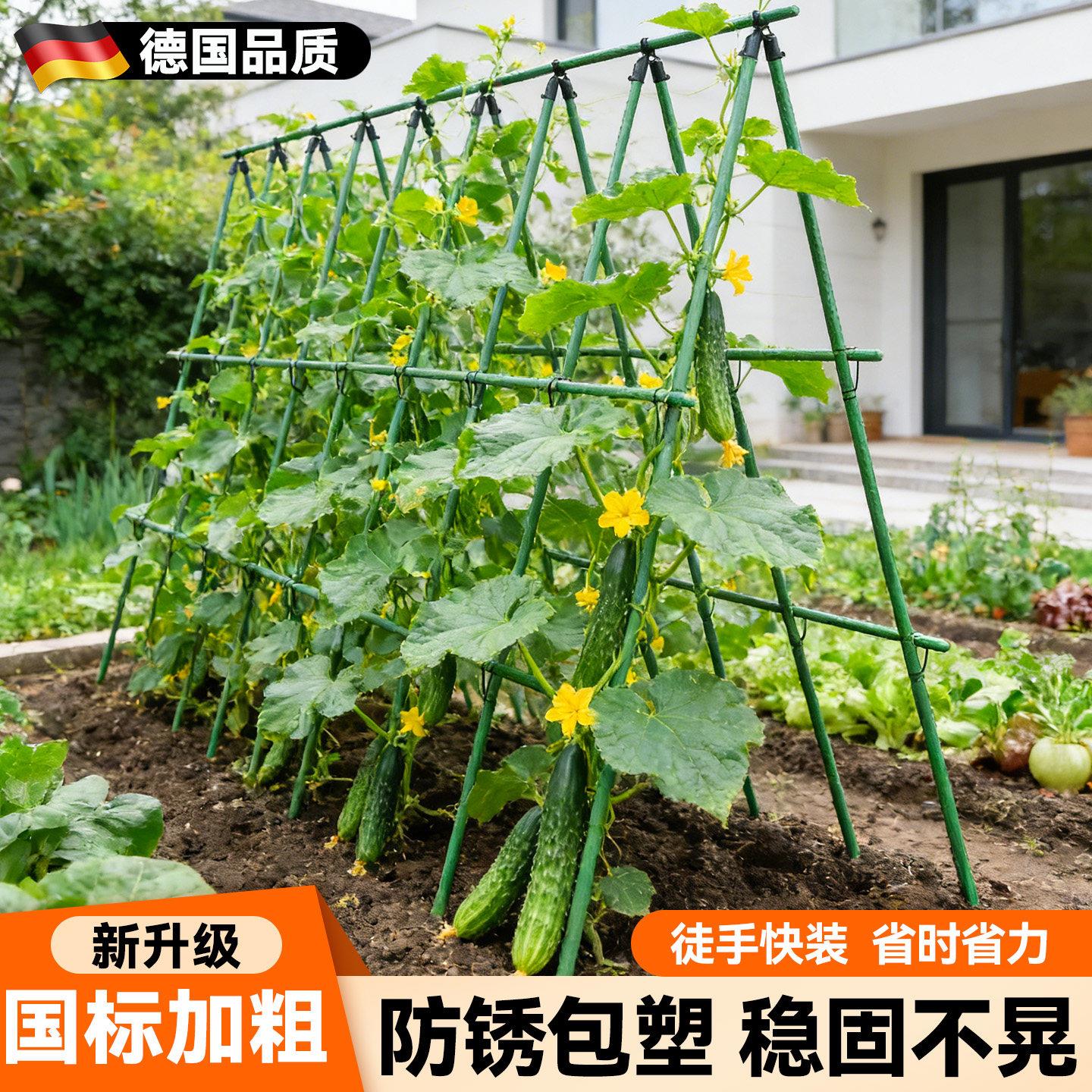 黄瓜爬藤架豆角架杆丝瓜蔬菜搭棚支架葡萄架子庭院户外固定支撑架