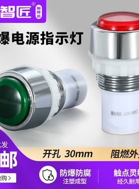 YH8050防爆信号灯 隔爆电源指示灯220V380V24V36V不锈钢圈