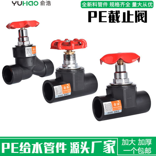 pe截止阀4分20阀门6分25闸阀旋转式水管开关升降式排气管配件闸门