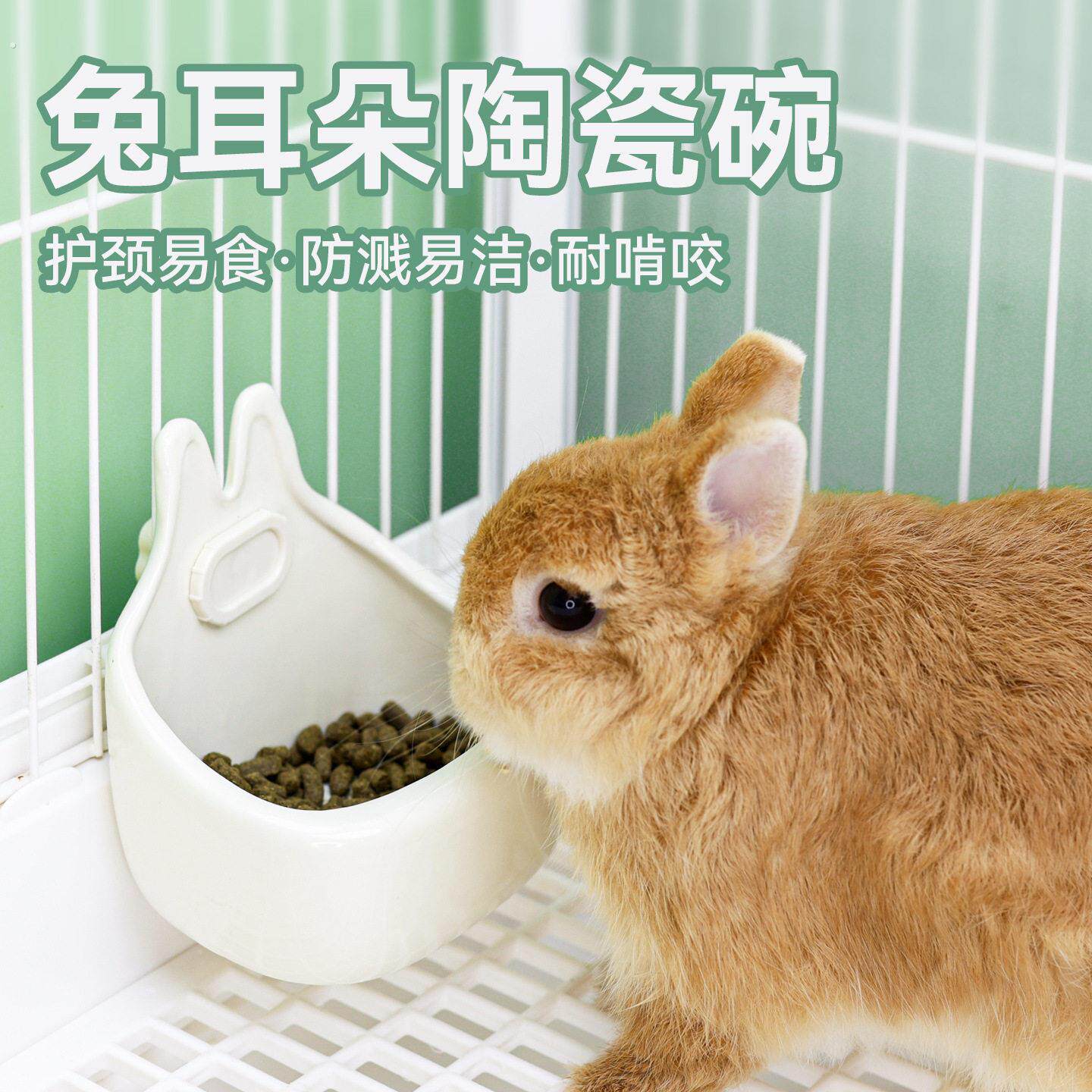 兔子食盆侏儒兔可调节兔兔饭碗荷兰猪龙猫挂式大容量防咬食盒