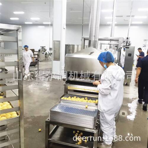 全自动糯米芝麻球油炸机 连续式麻球油炸流水线 自动上浆裹面包糠