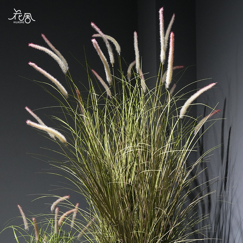 仿真绿植狗尾巴草假芦苇草落地盆栽装饰盆景室内客厅植物造景摆件