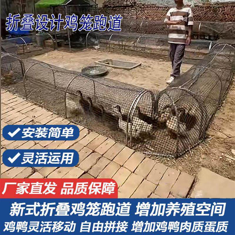 跑道鸡笼塑料网牛津网管道走地养鸡笼子溜达养殖笼折叠走地鸭笼