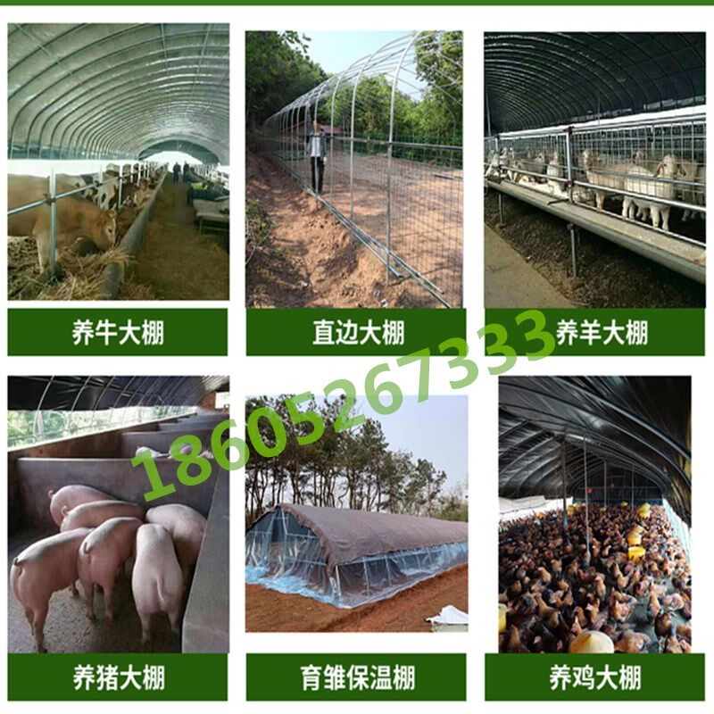 养殖大棚骨架养鸡场猪舍牛棚羊圈保温棚户外钢管钢架养猪大棚全套