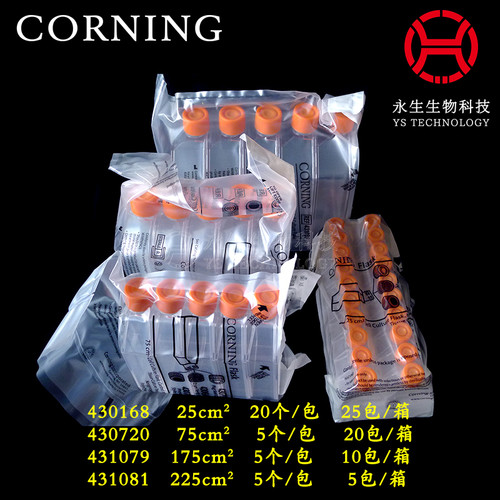 康宁430639 430641 431080 431082细胞培养瓶T25 T75 T175 T225