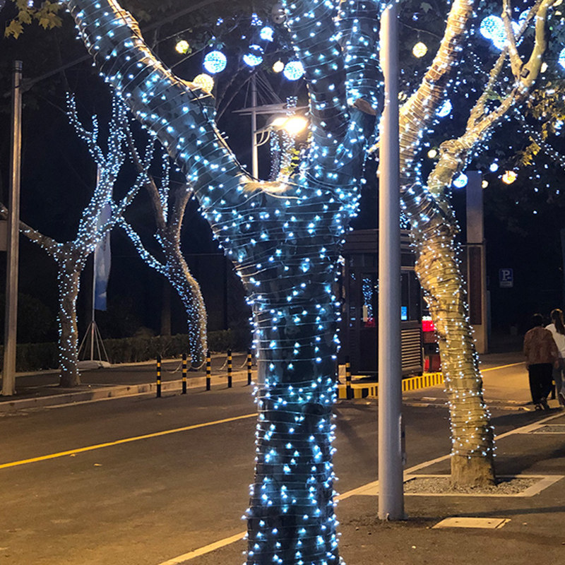 节日气氛led室外小彩灯闪灯串灯满天星网红灯泡户外防水灯光装饰