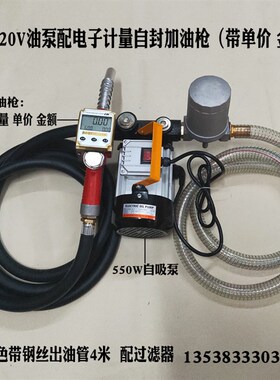 大流量电子机械加油机油枪柴油泵抽油泵12V24V220V带单价金额油表