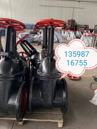 Z41T-10明杆法兰铸铁闸阀 DN50 DN100 DN200 DN300 DN500  DN800
