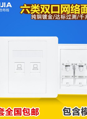 86型双口六类打线网络面板 CAT6千兆六类电脑RJ45网线双口打线