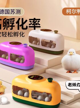 柯尔鸭孵化器小型家用柯尔鸭蛋孵蛋器受精蛋全自动孵鸭子孵蛋套装
