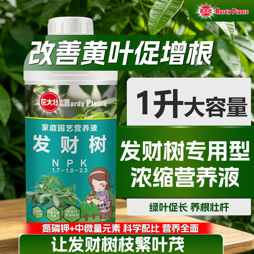 【旗舰优选】发财树专用营养液1L
