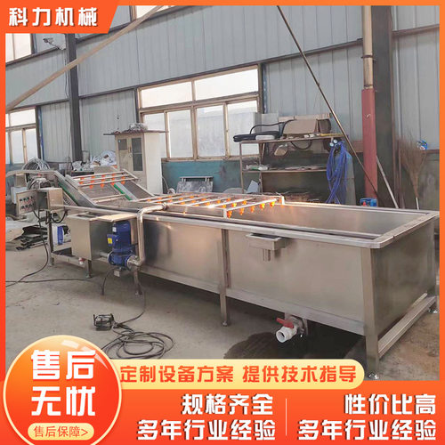 供应大型清洗机 辣椒清洗机花椒气泡清洗机 净菜清洗设备