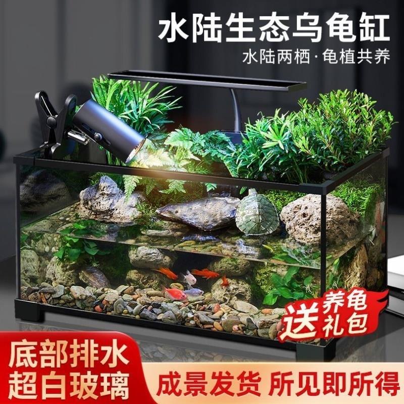 乌龟缸高清玻璃生态造景龟鱼缸一体混养生态缸客厅专用家用饲养缸