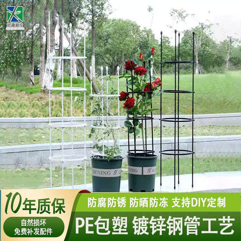 花架爬藤架铁线莲月季植物支撑杆庭院室内花盆植物攀爬架爬藤支架