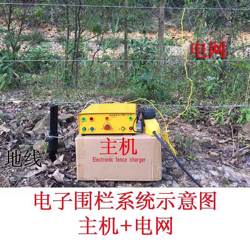 脉冲电子围栏主机 牧场牛羊专用养殖电网电子围栏系统整套 电围栏