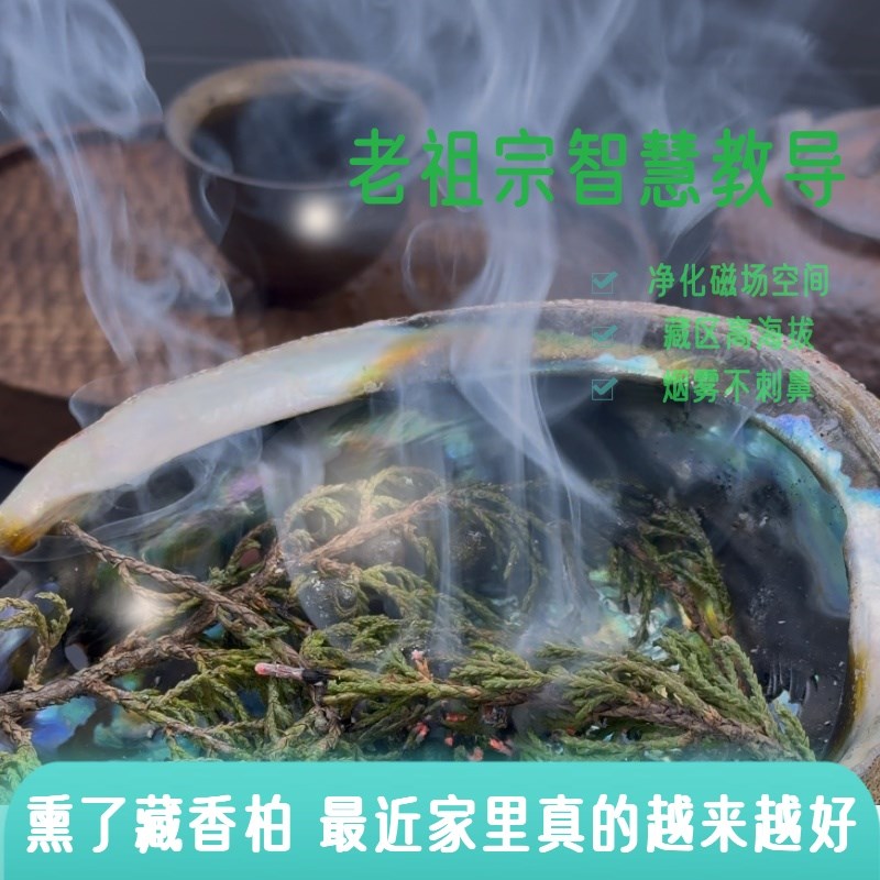 西藏柏香火供新鲜柏香枝藏香柏香薰家用天然香柏古法薰香
