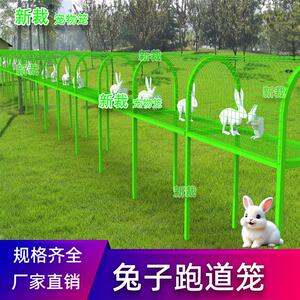 兔子跑道笼兔子笼子隧道萌宠跑道幼儿园兔子别墅养殖果绿观赏跑笼