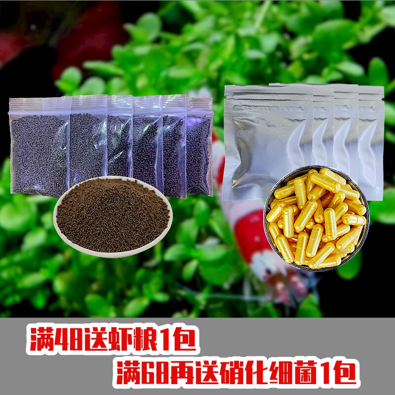 红白水晶虾鲜活到家淡水鱼缸观赏虾闯缸草缸工具清洁除藻宠物包邮