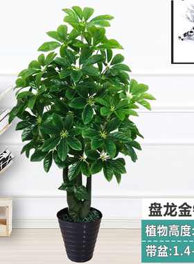 假花金钱树仿真植物假树花卉婚庆绿叶盆栽客厅室内家饰落地盆景花