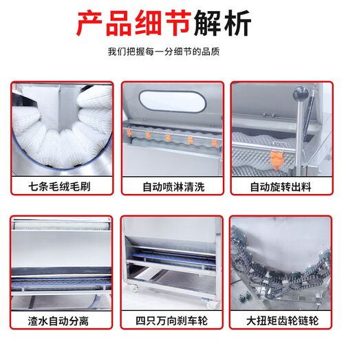 全自动商用毛辊去皮机土豆红薯萝卜莲藕生姜生蚝猪蹄脱皮机清洗机