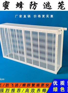 蜜蜂箱塑料隔王栅防跑防盗器一箱多王养殖分蜂工具中蜂意蜂防逃框