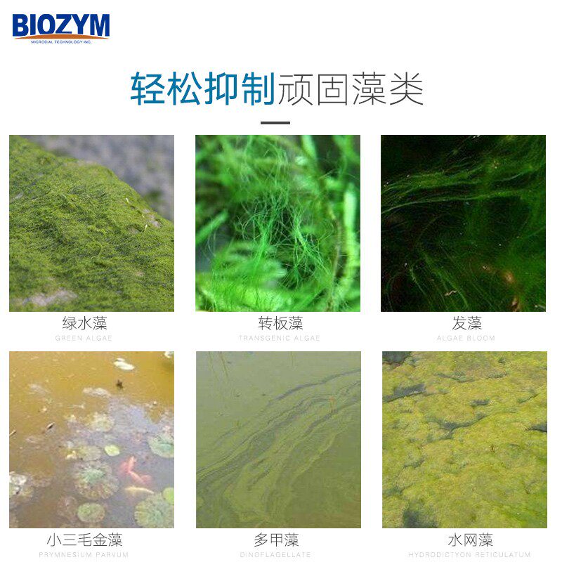 百因美硝化细菌锦鲤金鱼龙鱼鱼池5L硝化菌净水剂除藻剂水质稳定剂