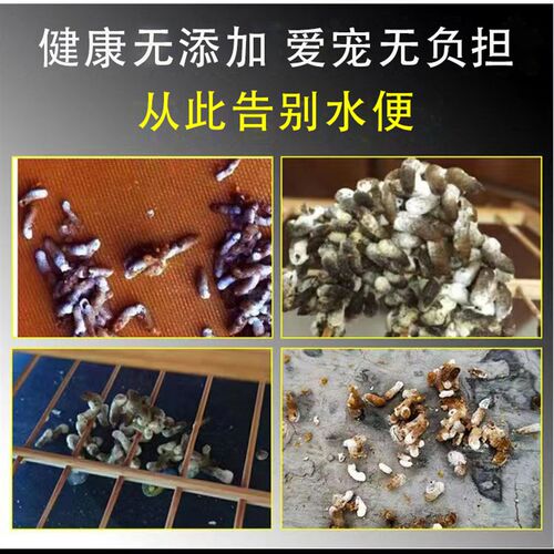 鸟食饲料绣眼饲料小颗粒绣眼鸟食防水便手工蒸料提性收身营养包邮