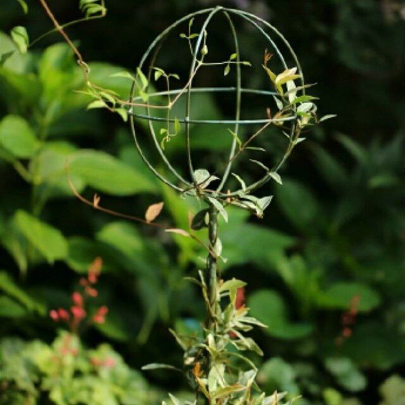 棒棒糖支架 植物造型爬藤架 可拆装安装方便