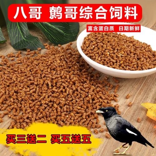 贵州妙歌鹩哥八哥饲料鸟食八哥鹩哥粮画眉饲料面包虫干买五送五