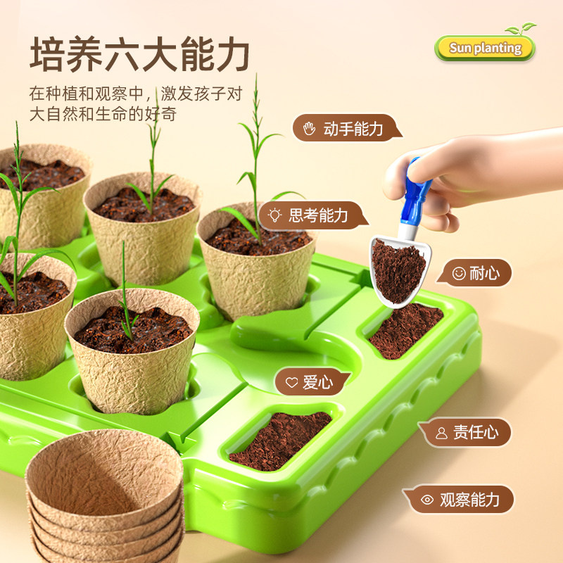 儿童种植迷你小盆栽幼儿园室内观察生长阳光房小农场种菜种花植物