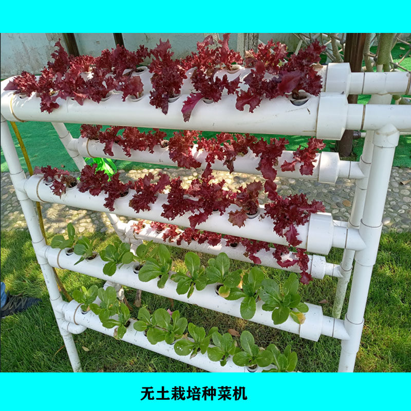 阳台无土栽培水培蔬菜管道家庭室内水耕水培蔬菜种植无土栽培设备