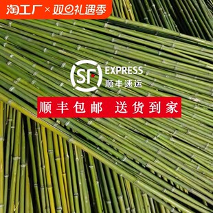 竹竿小竹杆菜园搭架子篱笆栅栏菜旗杆阳台植物豆角黄瓜爬藤花架
