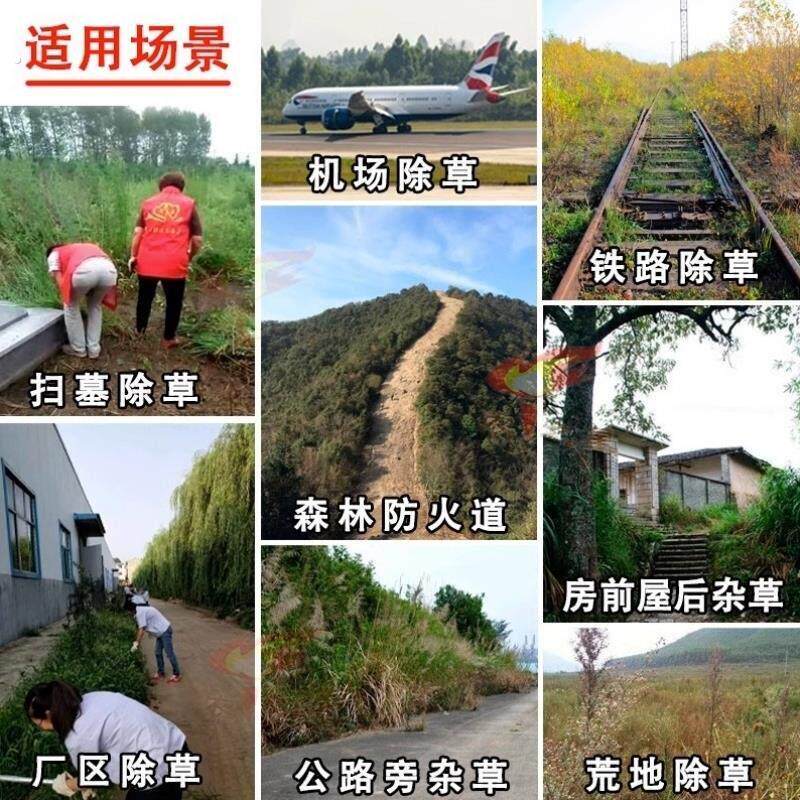 公路连根烂杂草荒地专用十年铁路除草一扫光神器除草草不长烂根剂