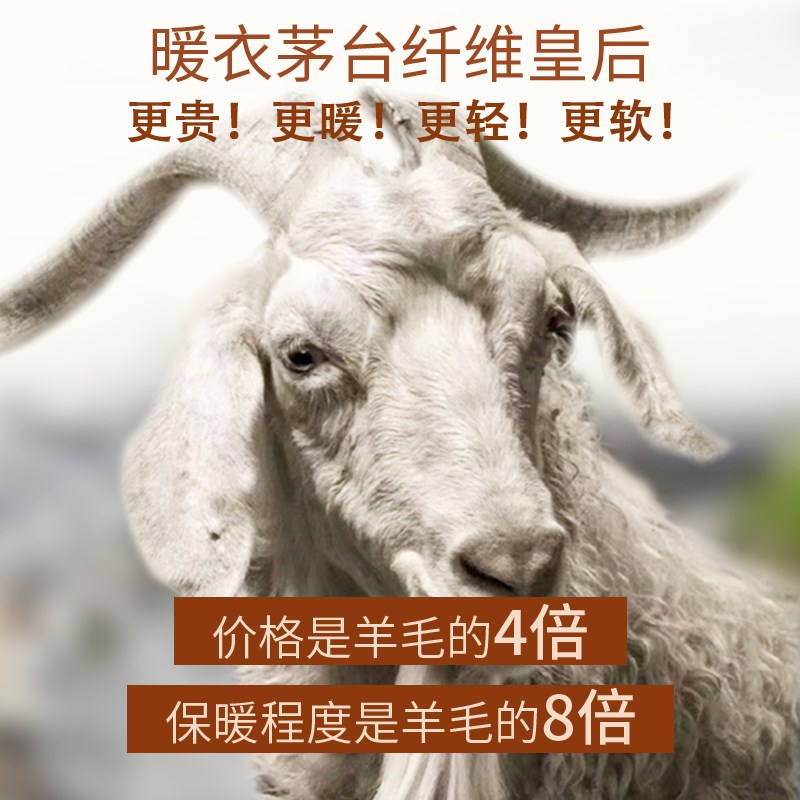 羊毛蚕丝德绒保暖裤女冬发热加绒加厚无痕高腰内穿打底秋裤毛线裤