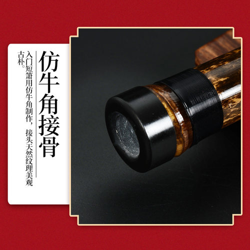 初学入门短萧乐器专业演奏F紫竹洞箫笛八六孔G调古风玉箫随身小潇